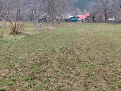 teren vanzare cumparare Rotileștii Mari Vrancea zona verde